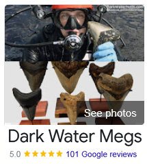 Google reviews for dark water megs