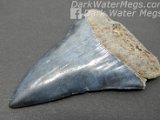 dark-water-megs-megalodon-inventory-replacement-july103