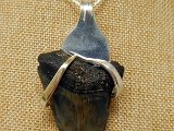 shark-tooth-necklace-dark-water-megs-9