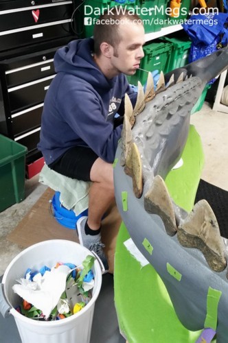 Building a megalodon shark jaw