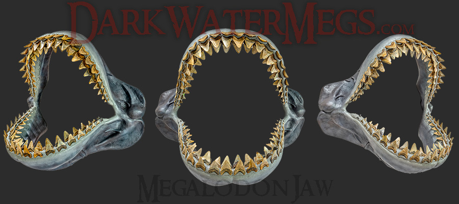 The Megalodon Jaw by Dark Water Megs