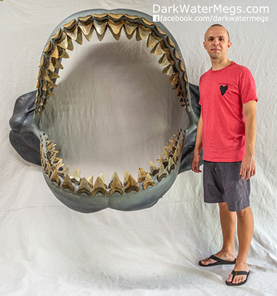 Megalodon Jaw Dark Water Megs