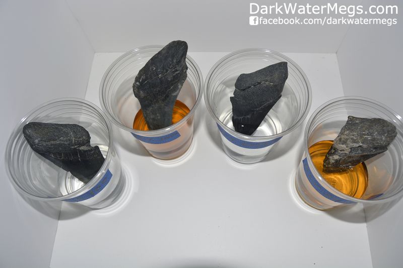 eth With Vinegar Experiment